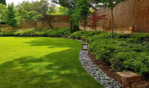Landscaped Green Parks